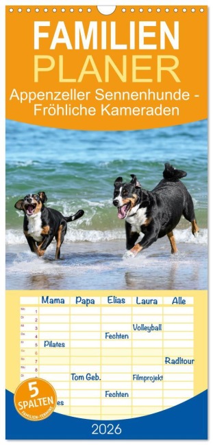Familienplaner 2026 - Appenzeller Sennenhunde - Fröhliche Kameraden mit 5 Spalten (Wandkalender, 21 x 45 cm) CALVENDO - Jana K. Fotografie