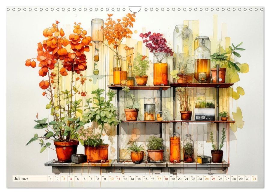 InsideView 12
