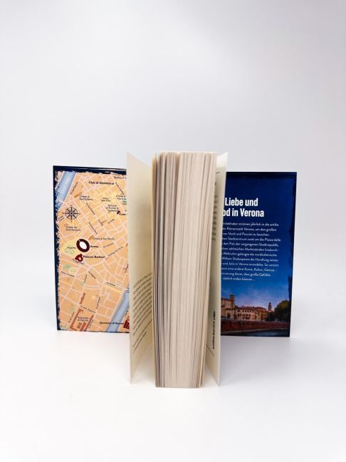InsideView 6