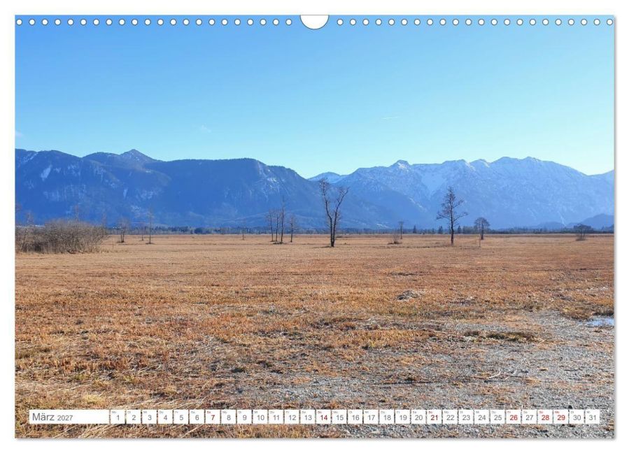 InsideView 8