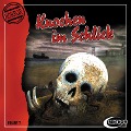 Cover-Bild zum Titel 'Knochen im Schlick' von 'Sascha Gutzeit, Nikolaus Hartmann'