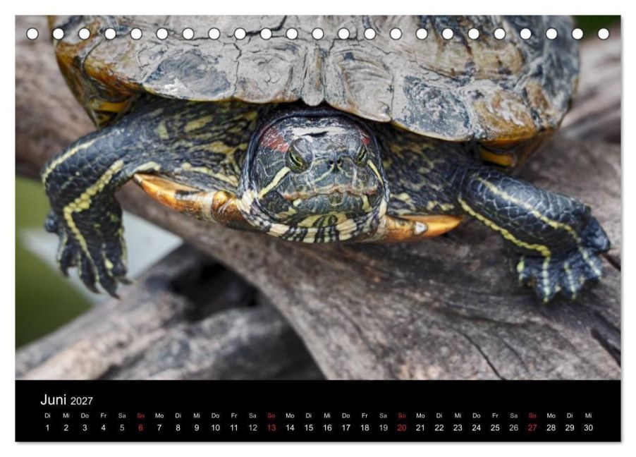 InsideView 11