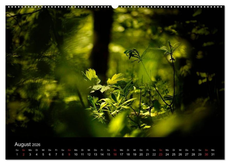 InsideView 13
