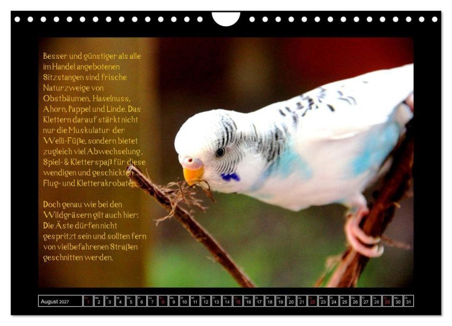 InsideView 13