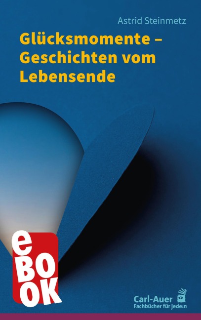 Glücksmomente - Geschichten vom Lebensende - Astrid Steinmetz