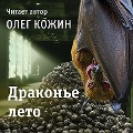 Cover-Bild zum Titel 'Drakone leto' von 'Oleg Kozhin'
