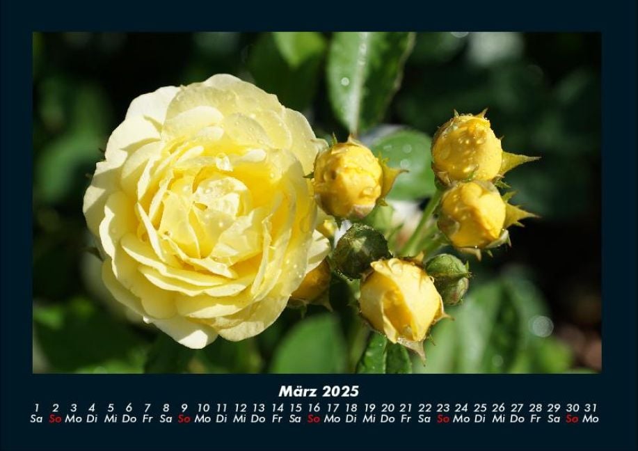 InsideView 7