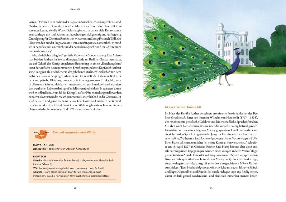 InsideView 8