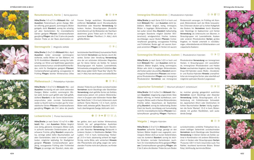 InsideView 7