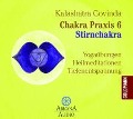 Cover-Bild zum Titel 'Chakra Praxis 6 - Stirnchakra' von 'Kalashatra Govinda'