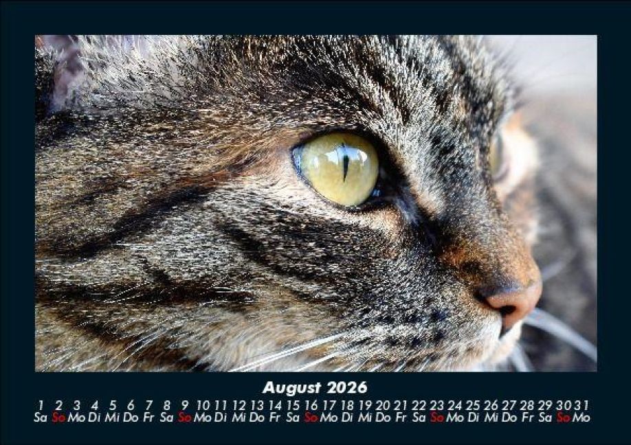 InsideView 12