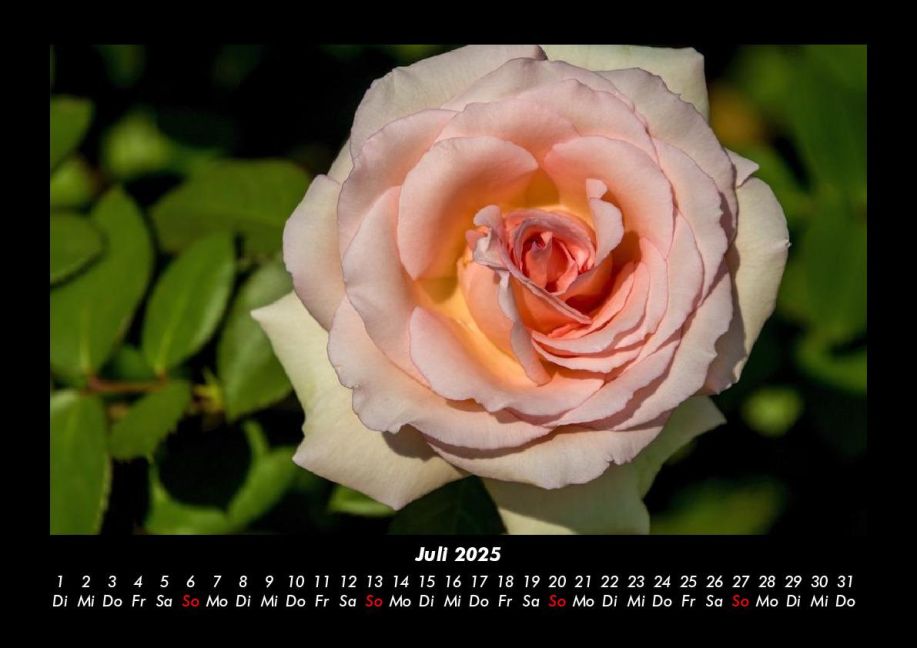 InsideView 11