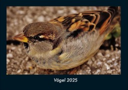 Cover-Bild zum Titel 'Vögel 2025 Fotokalender DIN A4' von 'Tobias Becker'