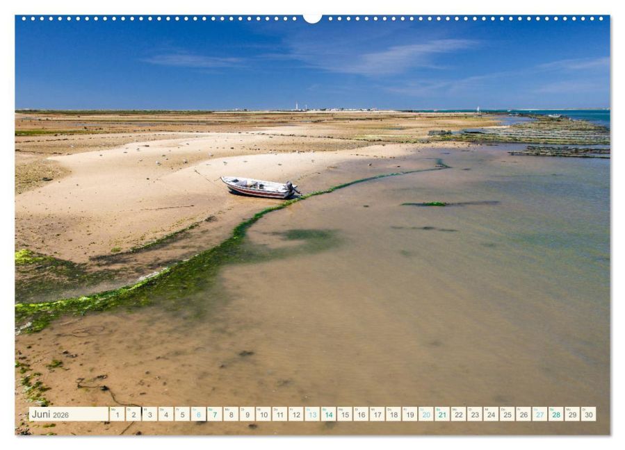 InsideView 11