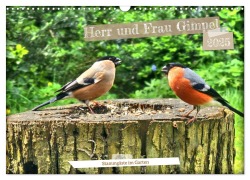 Herr und Frau Gimpel - Stammgäste im Garten (Wandkalender 2025 DIN A3 quer), CALVENDO Monatskalender - Henning von Löwis of Menar