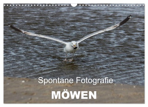 Spontane Fotografie - Möwen (Wandkalender 2024 DIN A3 quer), CALVENDO Monatskalender - Melanie Mp