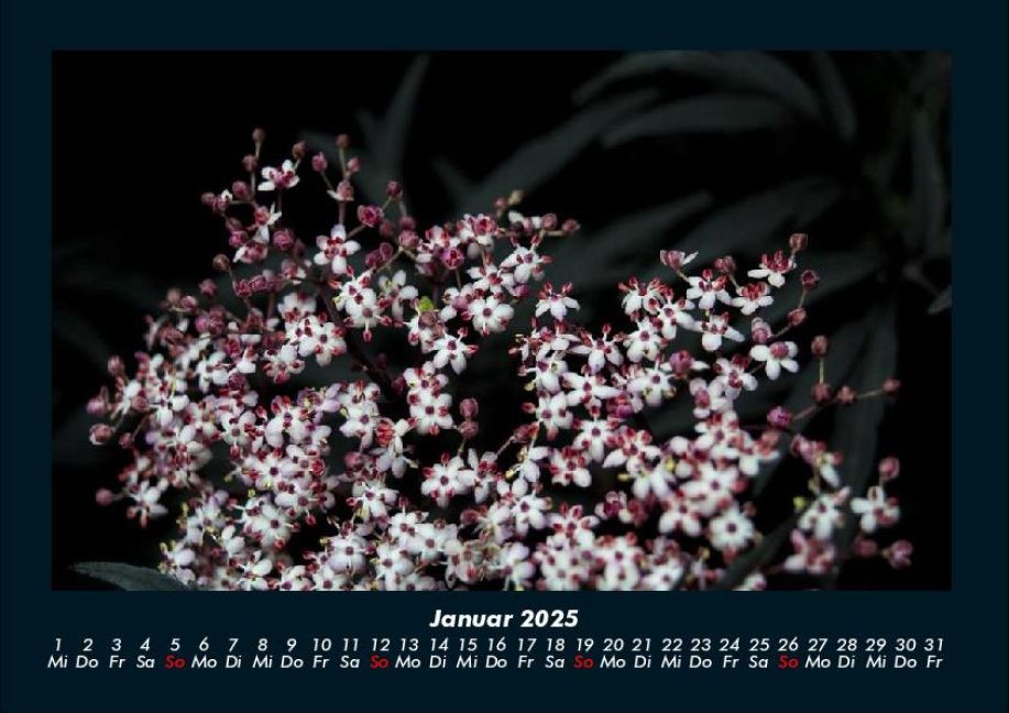 InsideView 5
