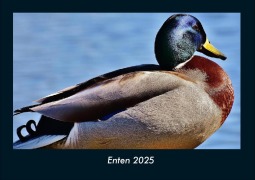 Cover-Bild zum Titel 'Enten 2025 Fotokalender DIN A4' von 'Tobias Becker'