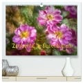 Zauberhafte Rosenblüten (hochwertiger Premium Wandkalender 2025 DIN A2 quer), Kunstdruck in Hochglanz - Nicc Koch