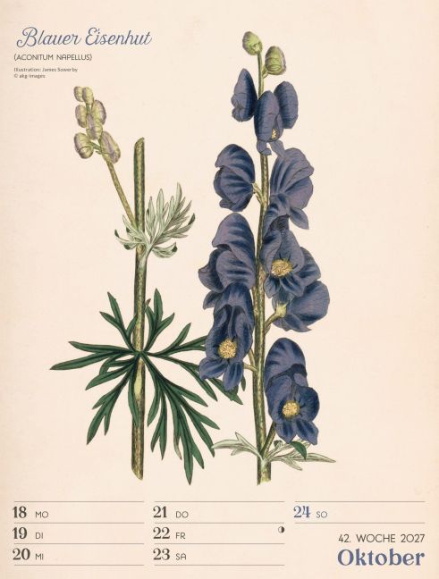 InsideView 46