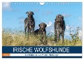 Irische Wolfshunde (Wandkalender 2024 DIN A4 quer), CALVENDO Monatskalender - Annett Mirsberger