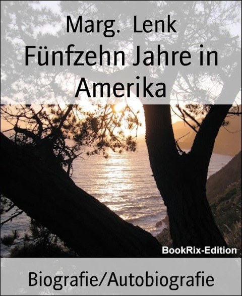 Fünfzehn Jahre in Amerika - Marg. Lenk