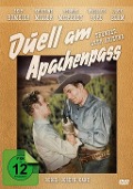 Duell am Apachenpass - Sloan Nibley, R. Dale Butts