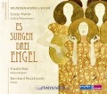 Cover-Bild zum Titel 'Es sungen drei Engel' von 'Frauke/Renzikowski May'