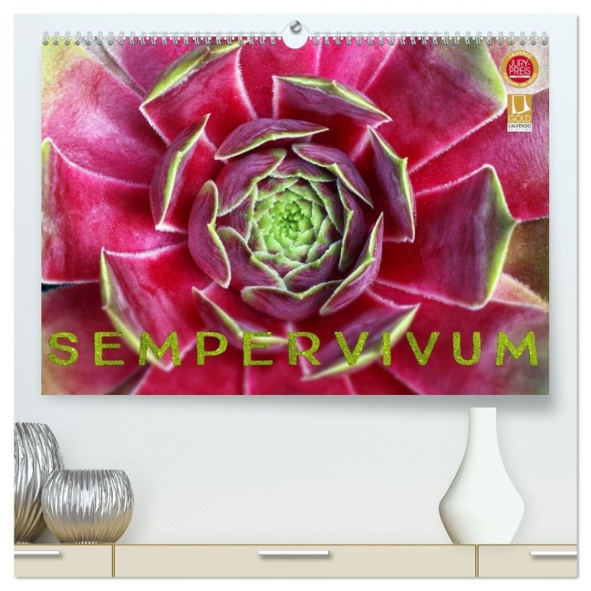 Sempervivum - Hauswurz (hochwertiger Premium Wandkalender 2026 DIN A2 quer), Kunstdruck in Hochglanz - Martina Cross