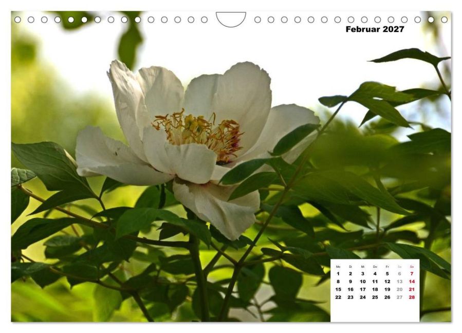 InsideView 7