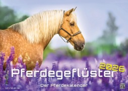 Cover-Bild zum Titel 'Pferdegeflüster - Der Pferdekalender - 2026 - Kalender DIN A3' von ''