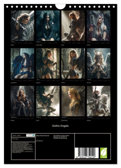 InsideView 5