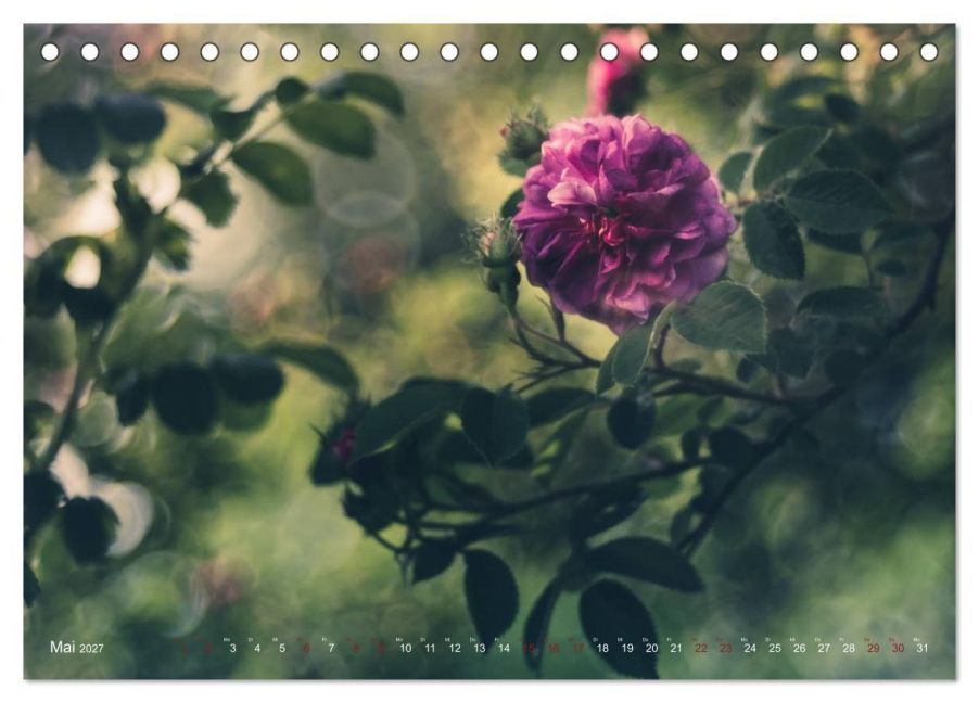 InsideView 10