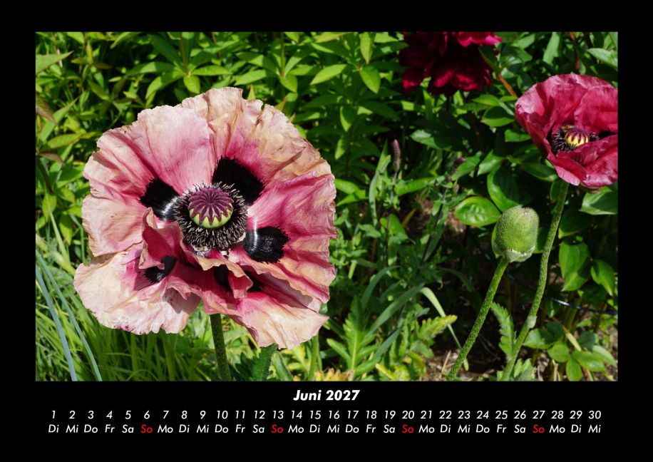 InsideView 10