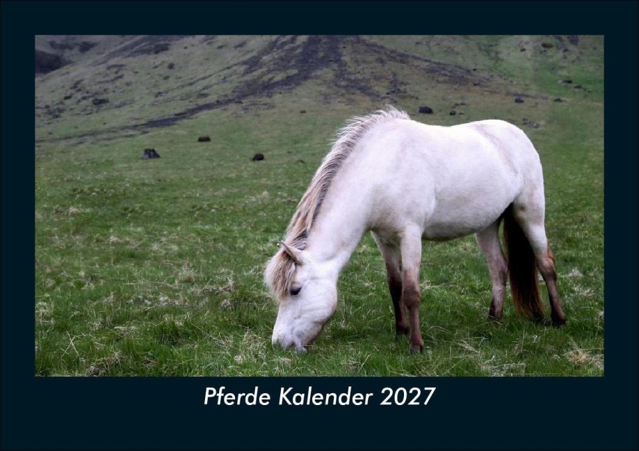 Pferde Kalender 2027 Fotokalender DIN A5 - Tobias Schmitt, Kevin Heber