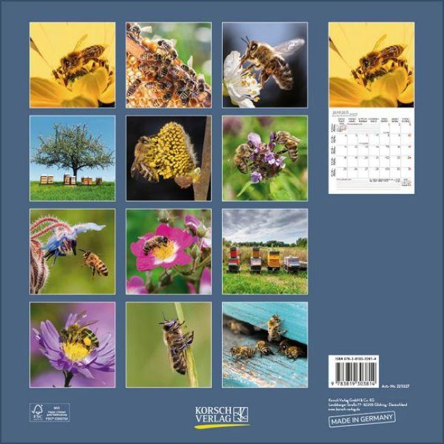 InsideView 13