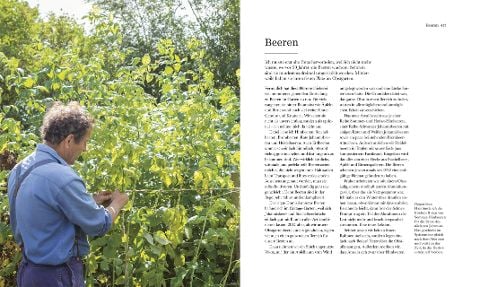 InsideView 8