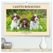 Cover-Bild zum Titel 'Lagotto Romagnolo - der Trüffelhund Italiens (hochwertiger Premium Wandkalender 2026 DIN A2 quer), Kunstdruck in Hochglanz' von 'Sigrid Starick'