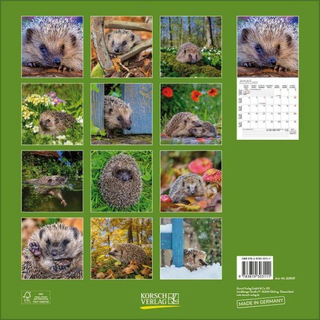 InsideView 13