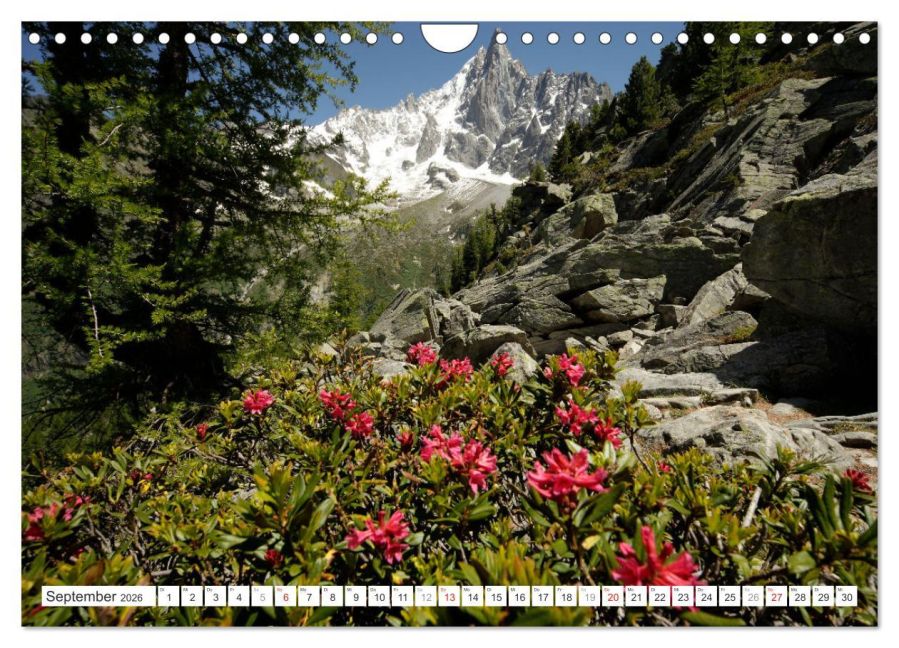 InsideView 14