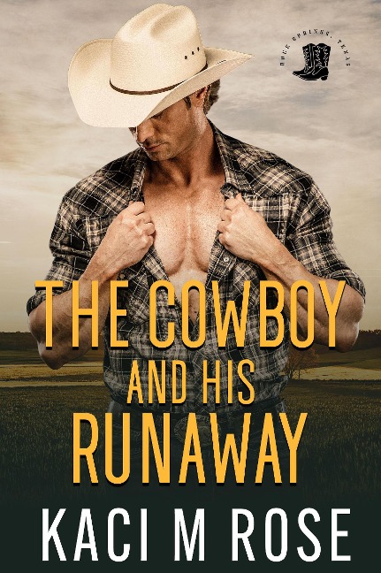 The Cowboy and His Runaway (Rock Springs Texas, #1) - Kaci M. Rose