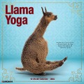 Llama Yoga 2025 12 X 12 Wall Calendar - Willow Creek Press