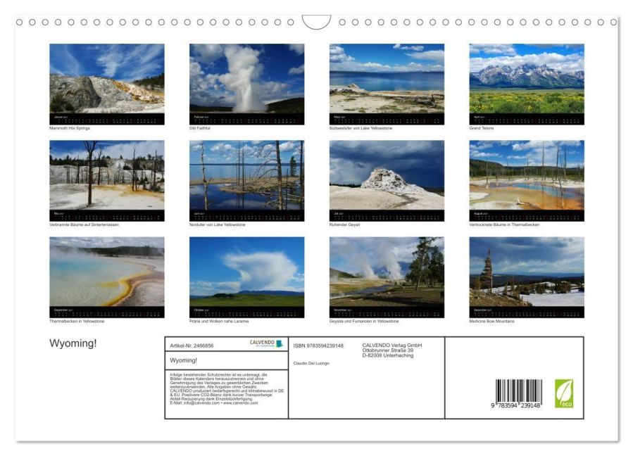InsideView 5