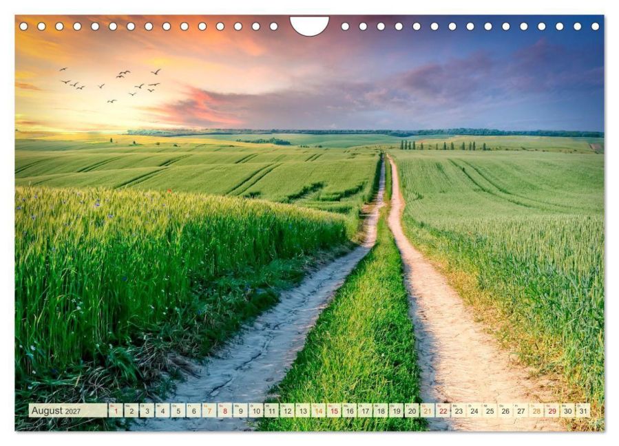 InsideView 13