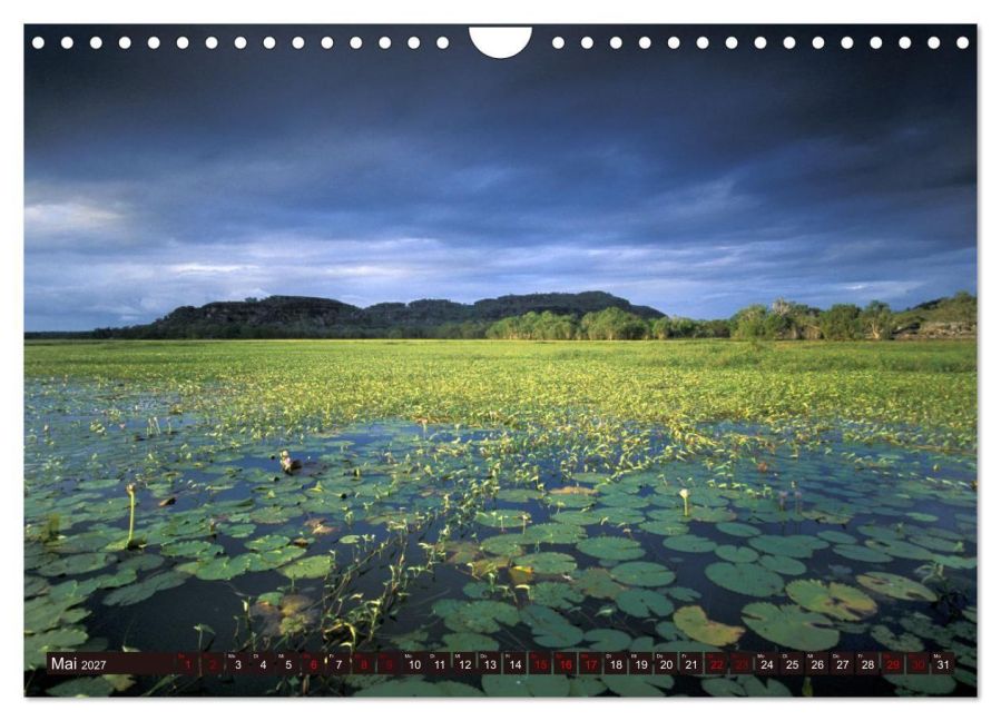 InsideView 10