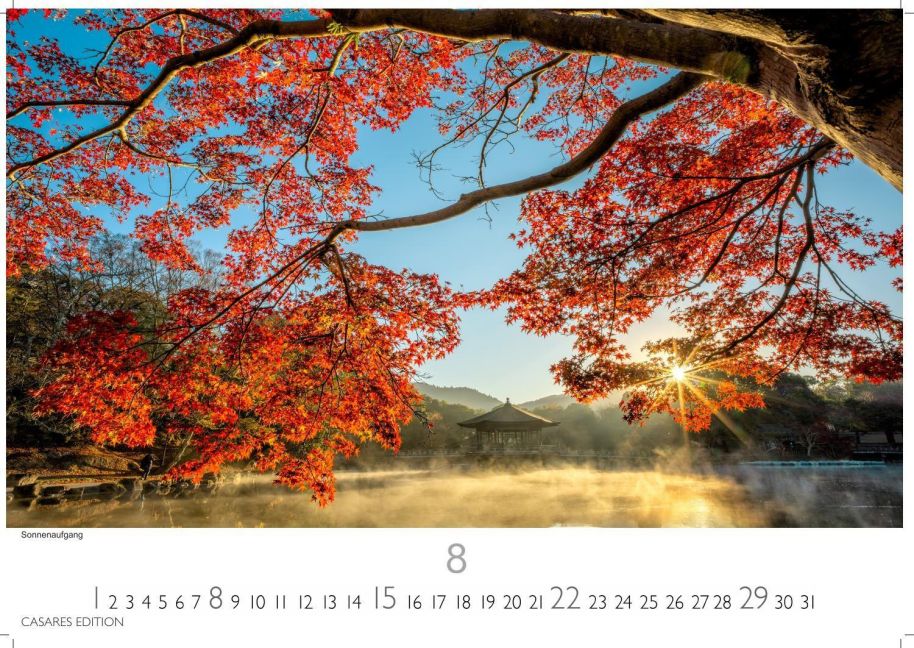 InsideView 8