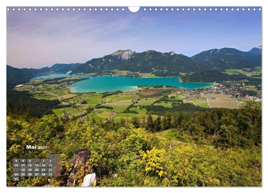 InsideView 10