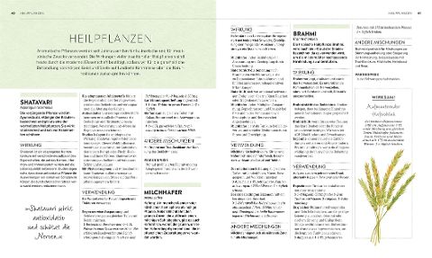 InsideView 5