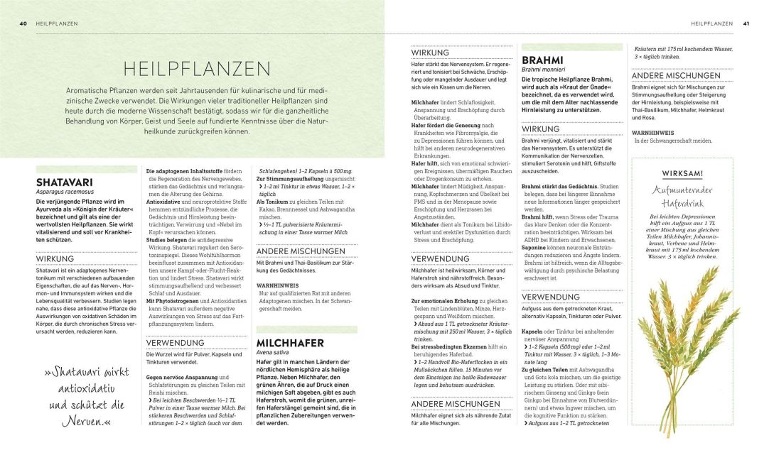InsideView 5