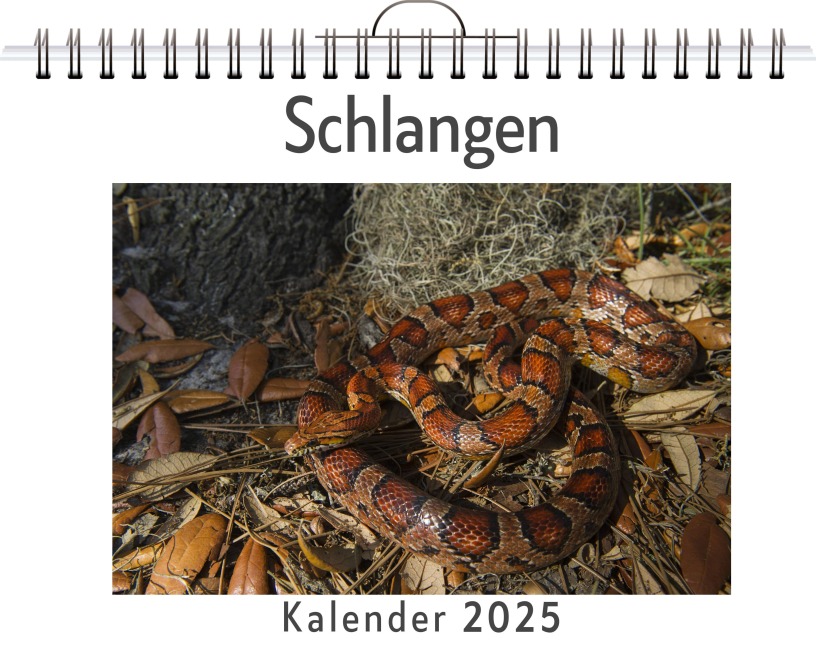 Schlangen - Linus Meier